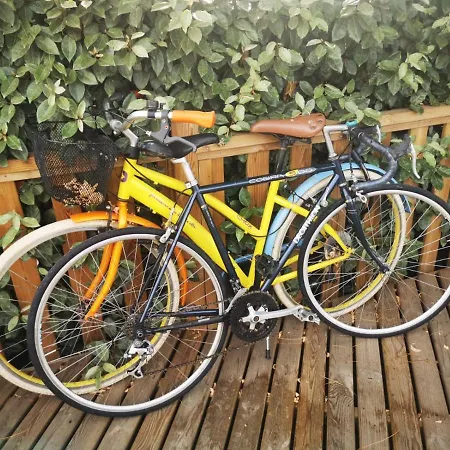 Mobil Neuf L Ile Dor St Raphael Avec Piscine 营地 Saint-Raphaël