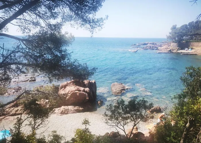 Mobil Neuf L Ile Dor St Raphael Avec Piscine Camping